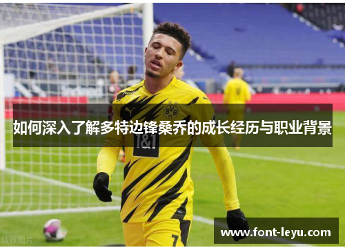 如何深入了解多特边锋桑乔的成长经历与职业背景